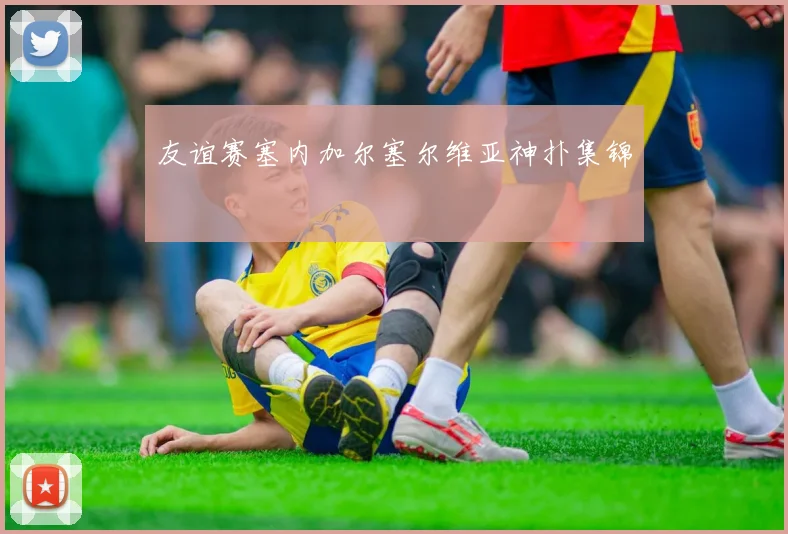 友谊赛塞内加尔塞尔维亚神扑集锦