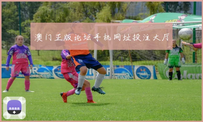 澳门正版论坛手机网址投注大厅