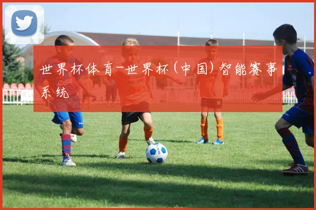 世界杯体育-世界杯(中国)智能赛事系统