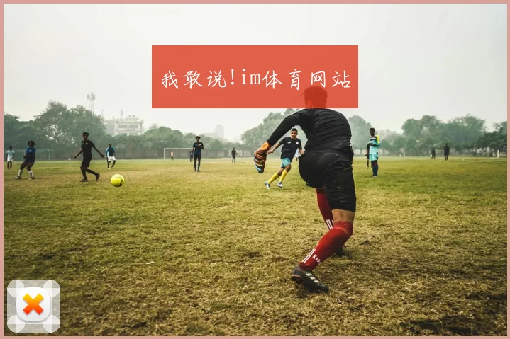 我敢说!im体育网站