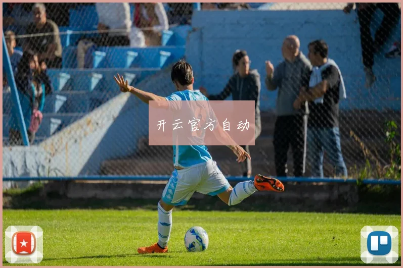开云官方自动