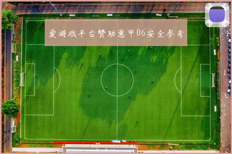 爱游戏平台赞助意甲06安全参考
