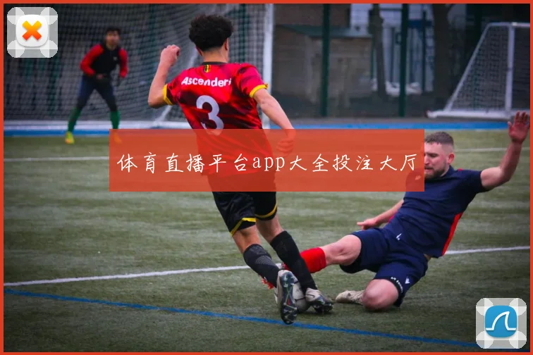 体育直播平台app大全投注大厅