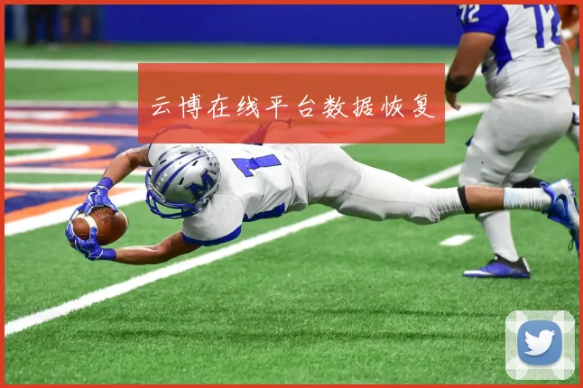 云博在线平台数据恢复