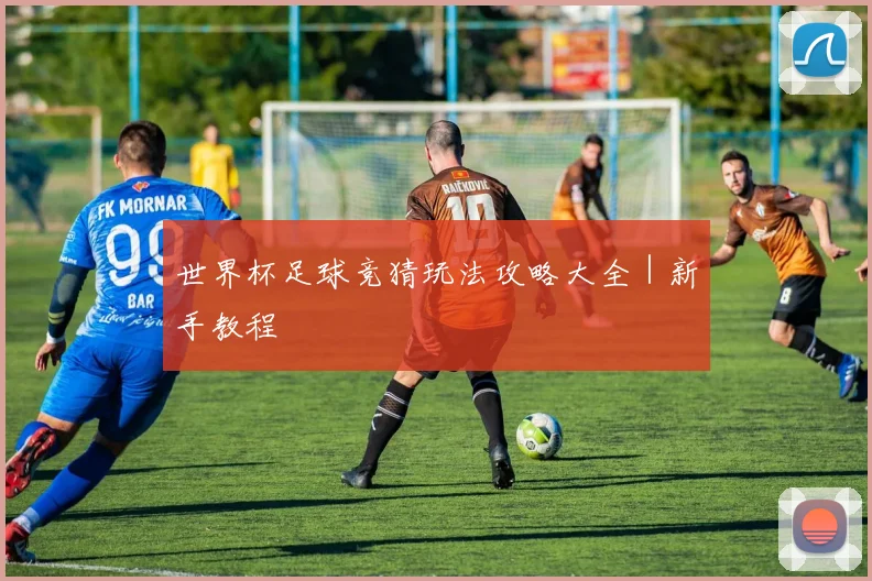 世界杯足球竞猜玩法攻略大全｜新手教程