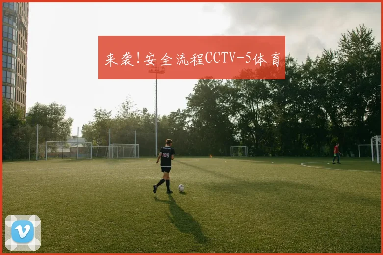 来袭!安全流程CCTV-5体育
