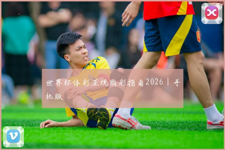 世界杯体彩正规购彩指南2026｜手机版