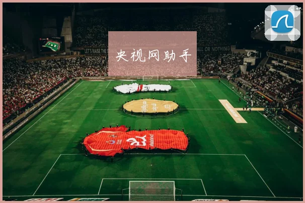 央视网助手