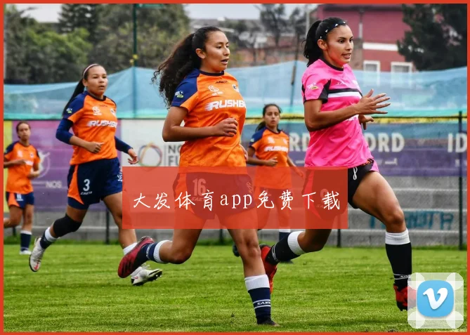 大发体育app免费下载