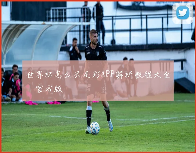 世界杯怎么买足彩APP解析教程大全｜官方版