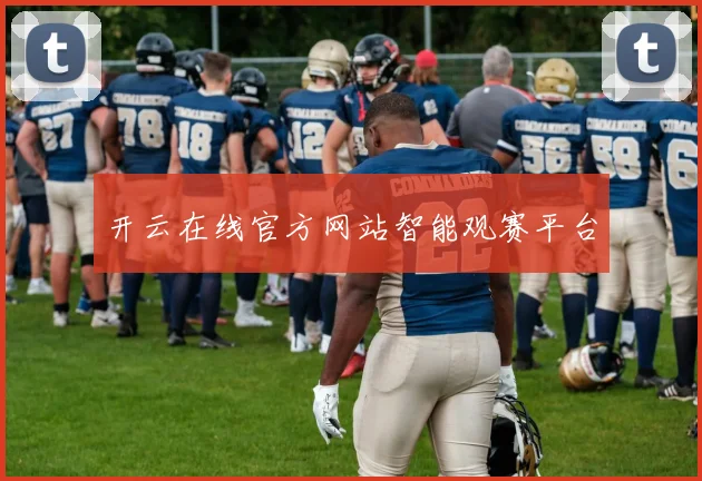 开云在线官方网站智能观赛平台