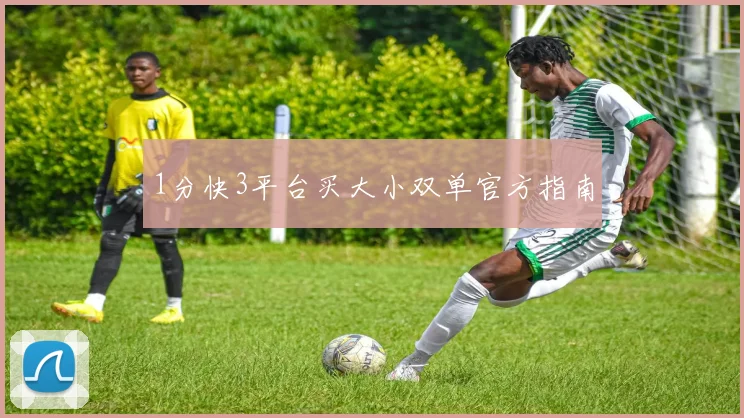 1分快3平台买大小双单官方指南