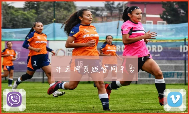 开云网页版官网平台