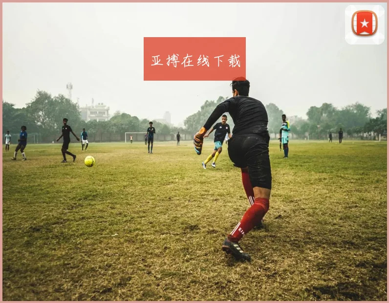 亚搏在线下载