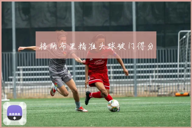 格纳布里精准头球破门得分