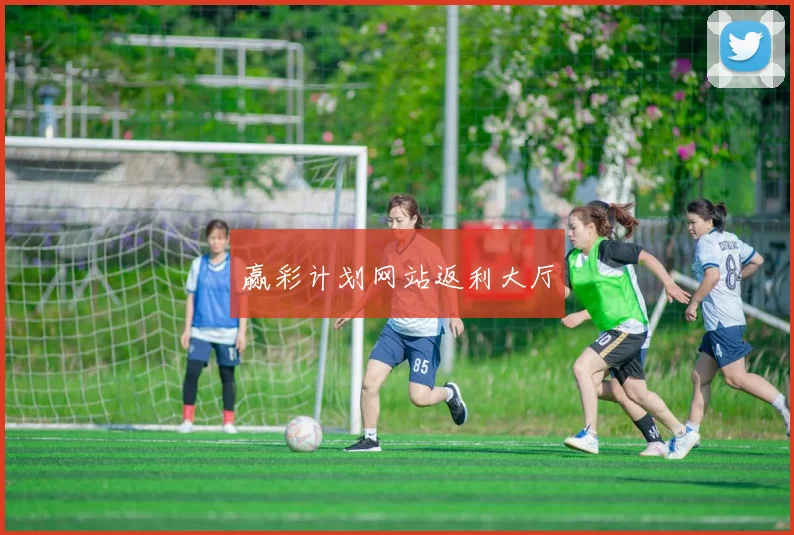 赢彩计划网站返利大厅