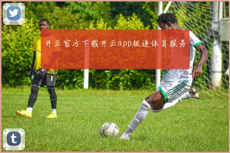开云官方下载开云app极速体育服务