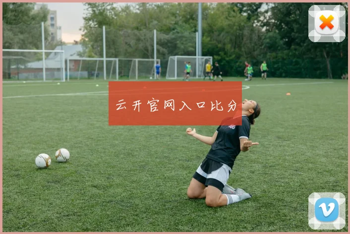云开官网入口比分