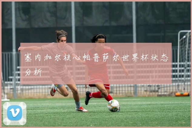 塞内加尔核心帕普萨尔世界杯状态分析