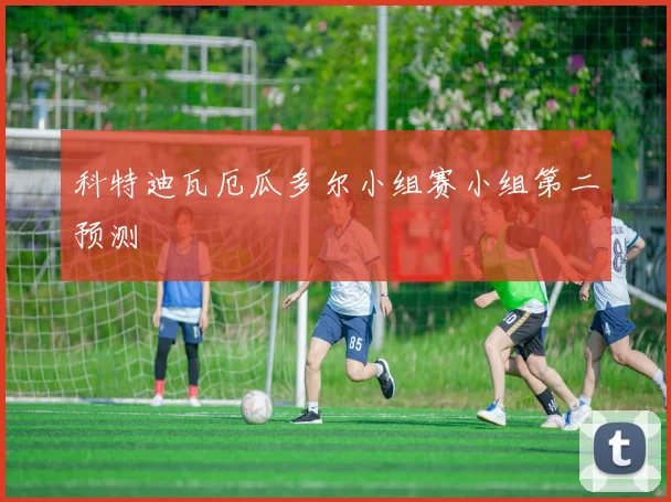 科特迪瓦厄瓜多尔小组赛小组第二预测