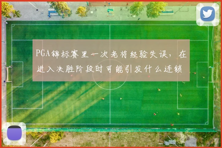 PGA锦标赛里一次老将经验失误，在进入决胜阶段时可能引发什么连锁变化