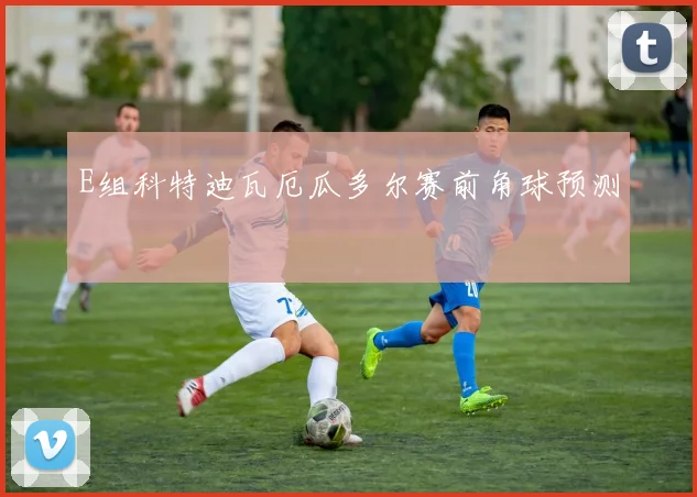 E组科特迪瓦厄瓜多尔赛前角球预测