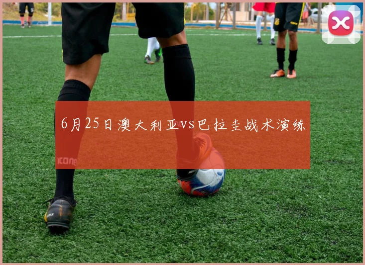 6月25日澳大利亚vs巴拉圭战术演练