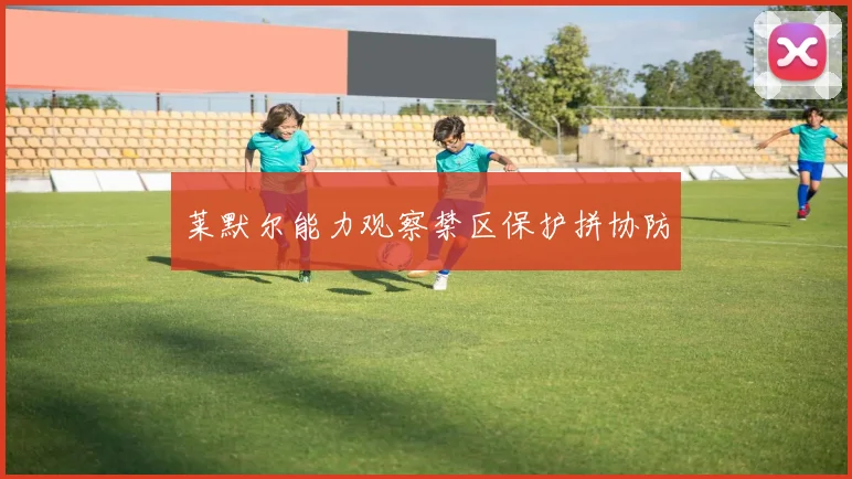 莱默尔能力观察禁区保护拼协防